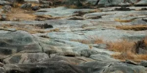 οφθαλμαπάτη