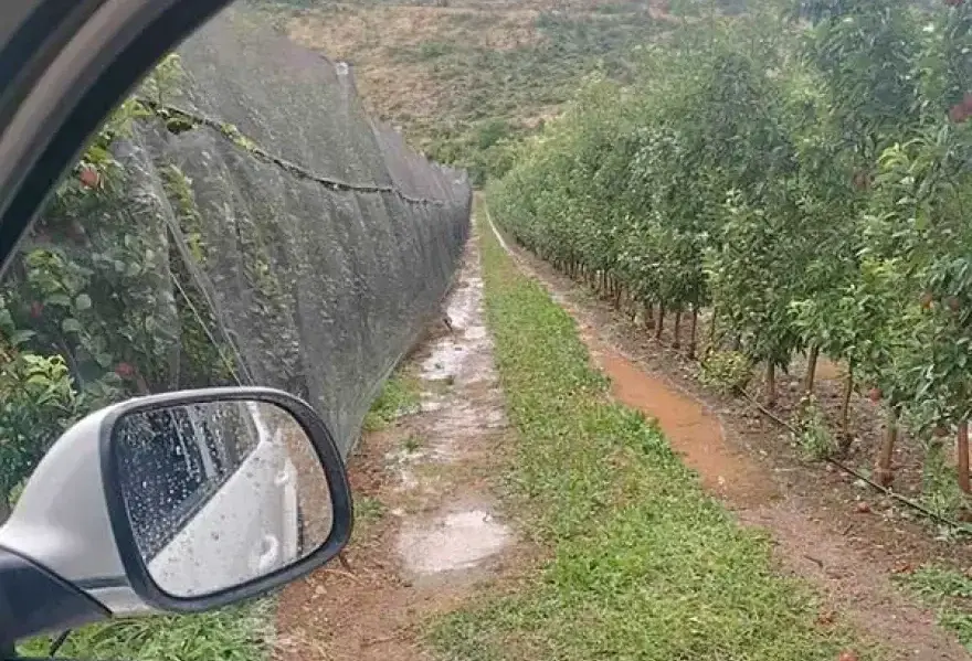 Πτολεμαΐδα