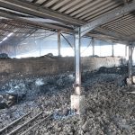 Έβρος: Οι αριθμοί που προκαλούν οργή και θλίψη – Κάηκαν 1.200 κυψέλες, 910 μικρόσωμα ζώα, οκτώ αγελάδες και πάνω από 50 ποιμνιοστάσια