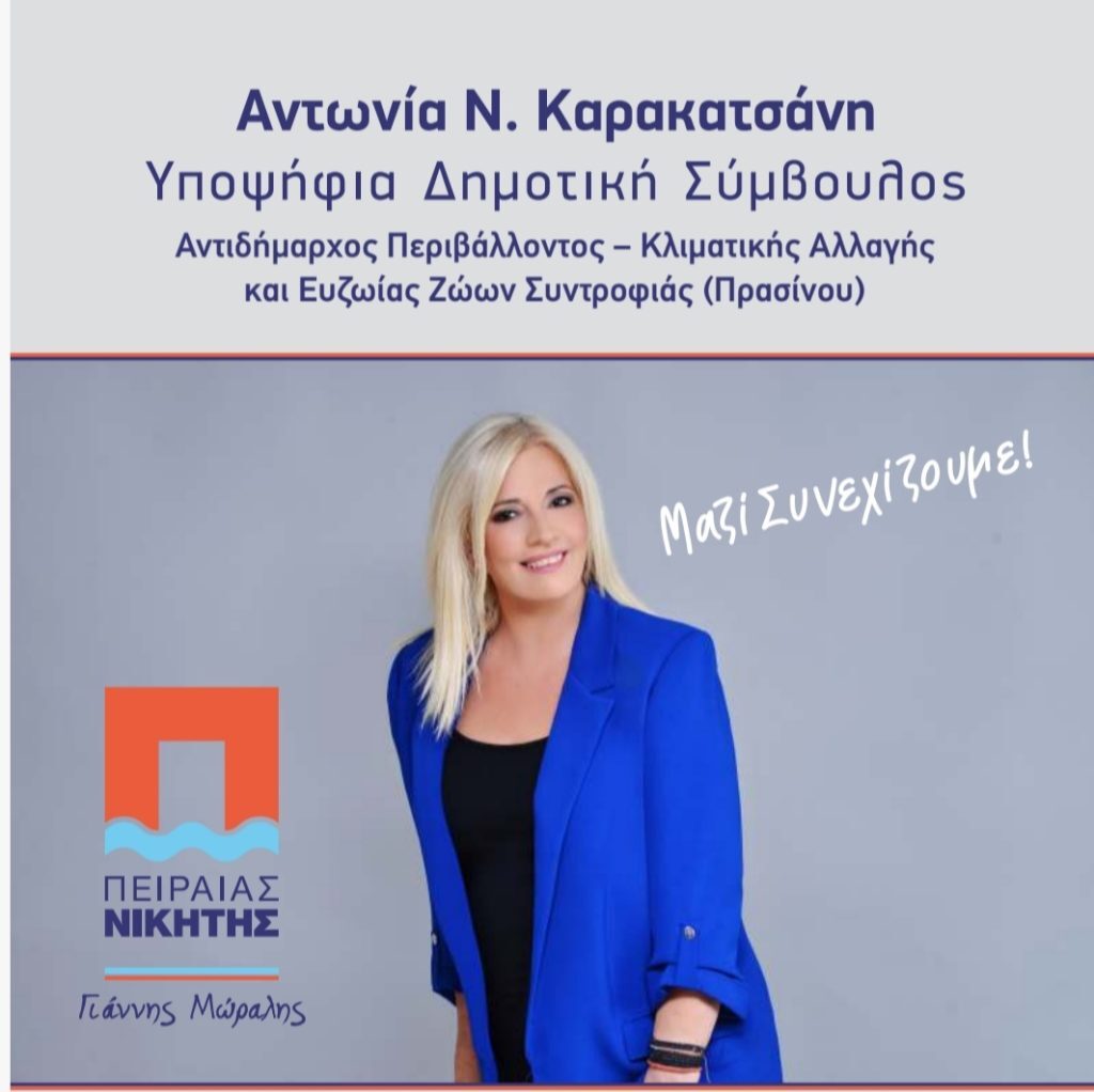 Εσωτερική εικόνα άρθρου