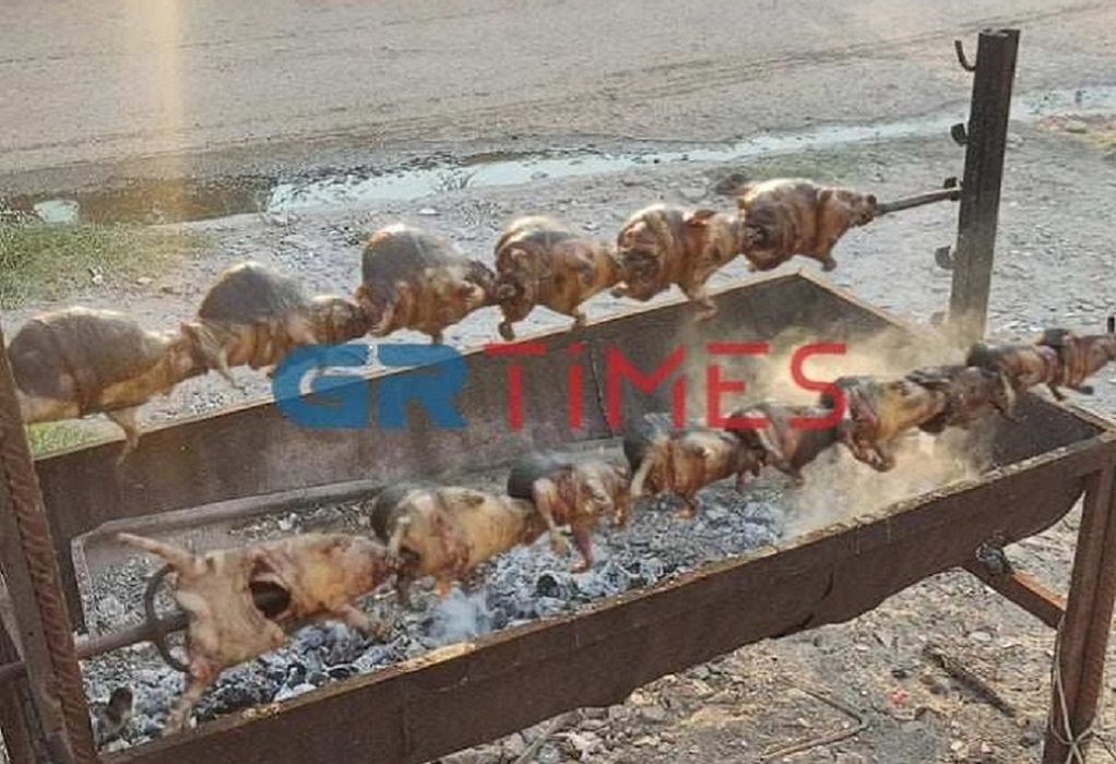 Εσωτερική εικόνα άρθρου