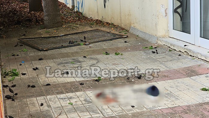 Εσωτερική εικόνα άρθρου