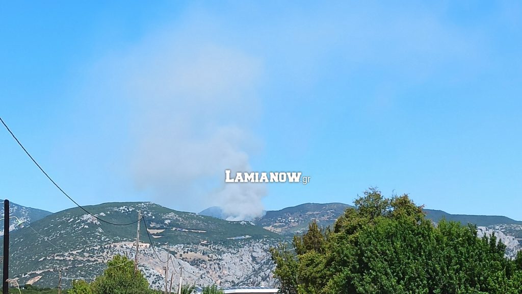 Φωτιά σε δασική έκταση στη Δίβρη Φθιώτιδας – «Σηκώθηκαν» αεροσκάφη