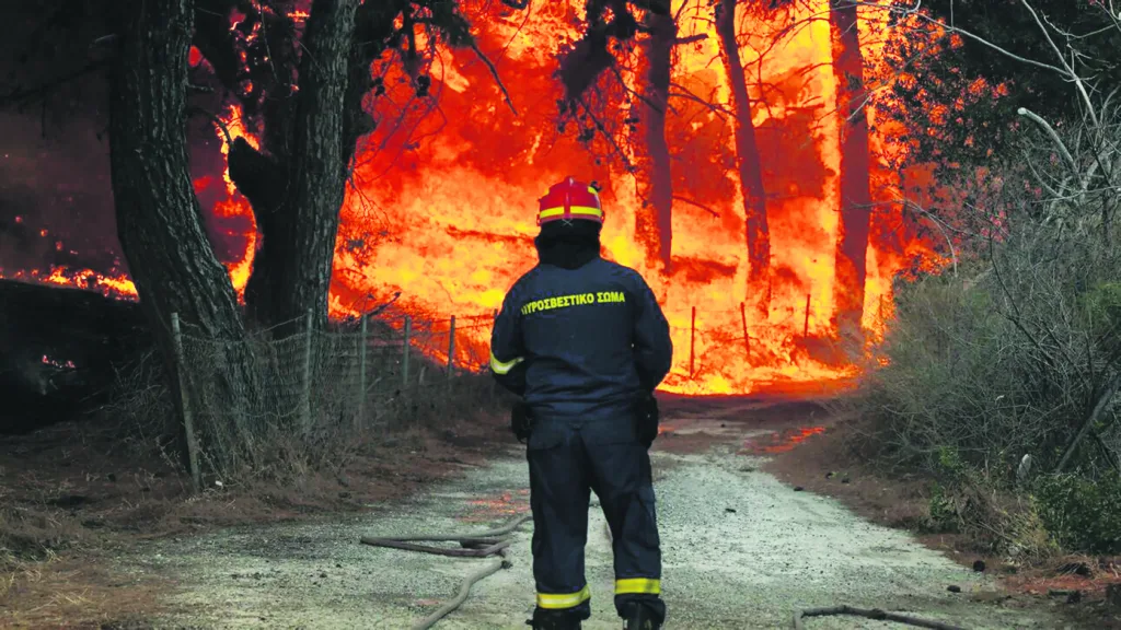 Δάσος Δαδιάς «Μέσα σε δύο χρόνια κάηκε περισσότερο από το μισό» – Πόσα χρόνια χρειάζονται για