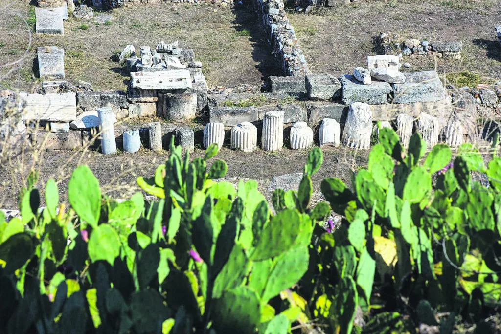 Ελευσίνα: Η αρχαία γνώση συναντά τον σύγχρονο κόσμο