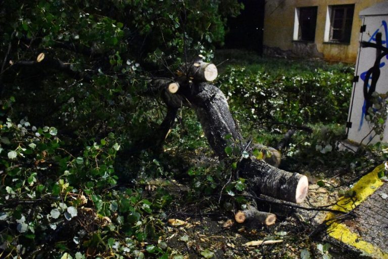 Πάτρα: Γυναίκα τραυματίστηκε από κορμό δέντρου που έπεσε πάνω της