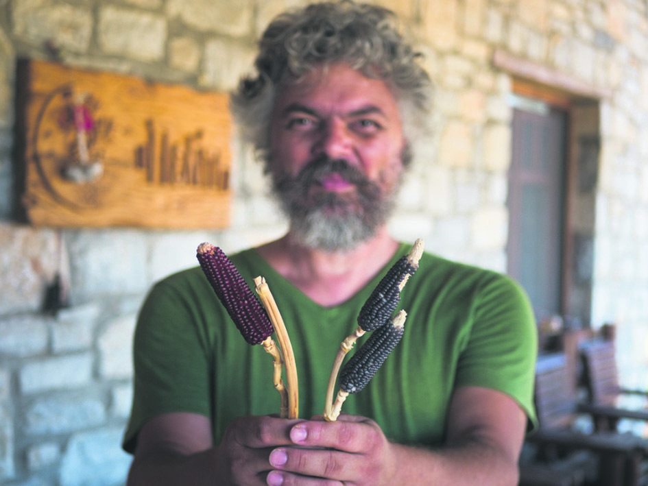 Εσωτερική εικόνα άρθρου