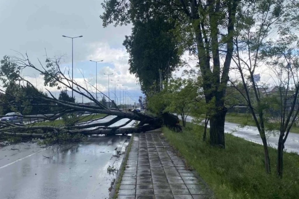 Έπεσε δέντρο στη λεωφόρο Κηφισίας, στο ύψος του ΚΑΤ – Πώς διεξάγεται η κυκλοφορία