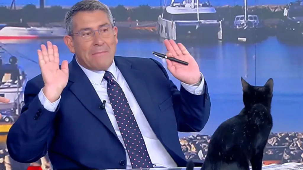 ΣΚΑΙ: Μια… μαύρη γάτα διέκοψε την ανάλυση Φίλη για τον ΣΥΡΙΖA [Βίντεο]
