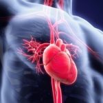 Τα καρδιαγγειακά επεισόδια συνδέονται με γνωστούς παράγοντες κινδύνου