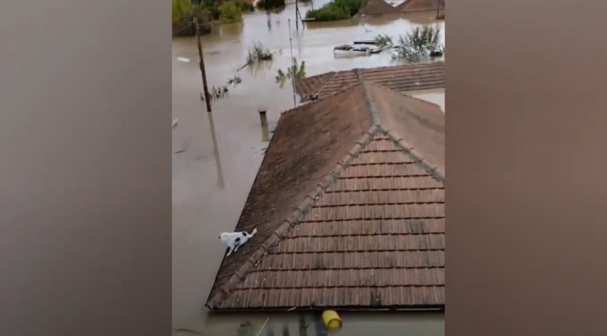 Κακοκαιρία Daniel