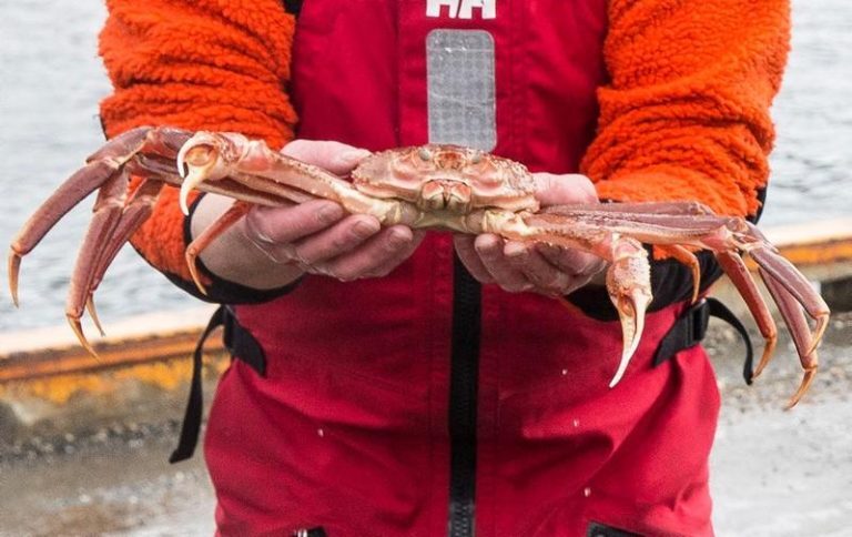 Την χρέωσαν 650 ευρώ για πιάτο με καβούρια – Κάλεσε την αστυνομία
