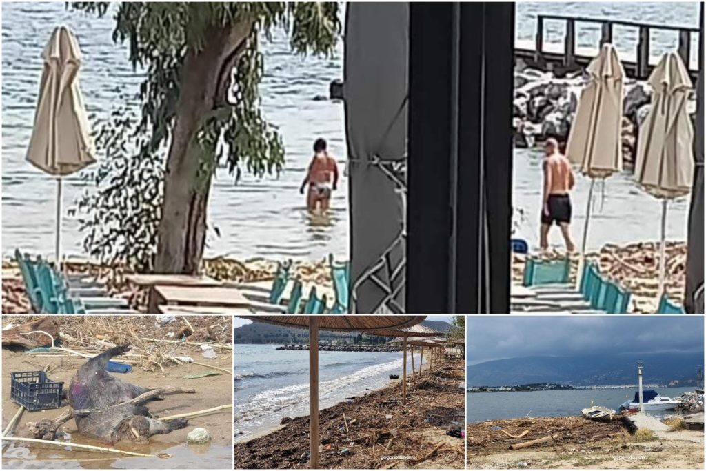 Παγασητικός κόλπος: Ινδία γίναμε – Νεκρά ζώα, σκουπίδια και πετρέλαια με το κολύμπι να επιτρέπ