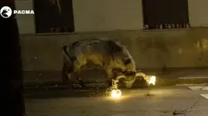 κέρατα φωτιά