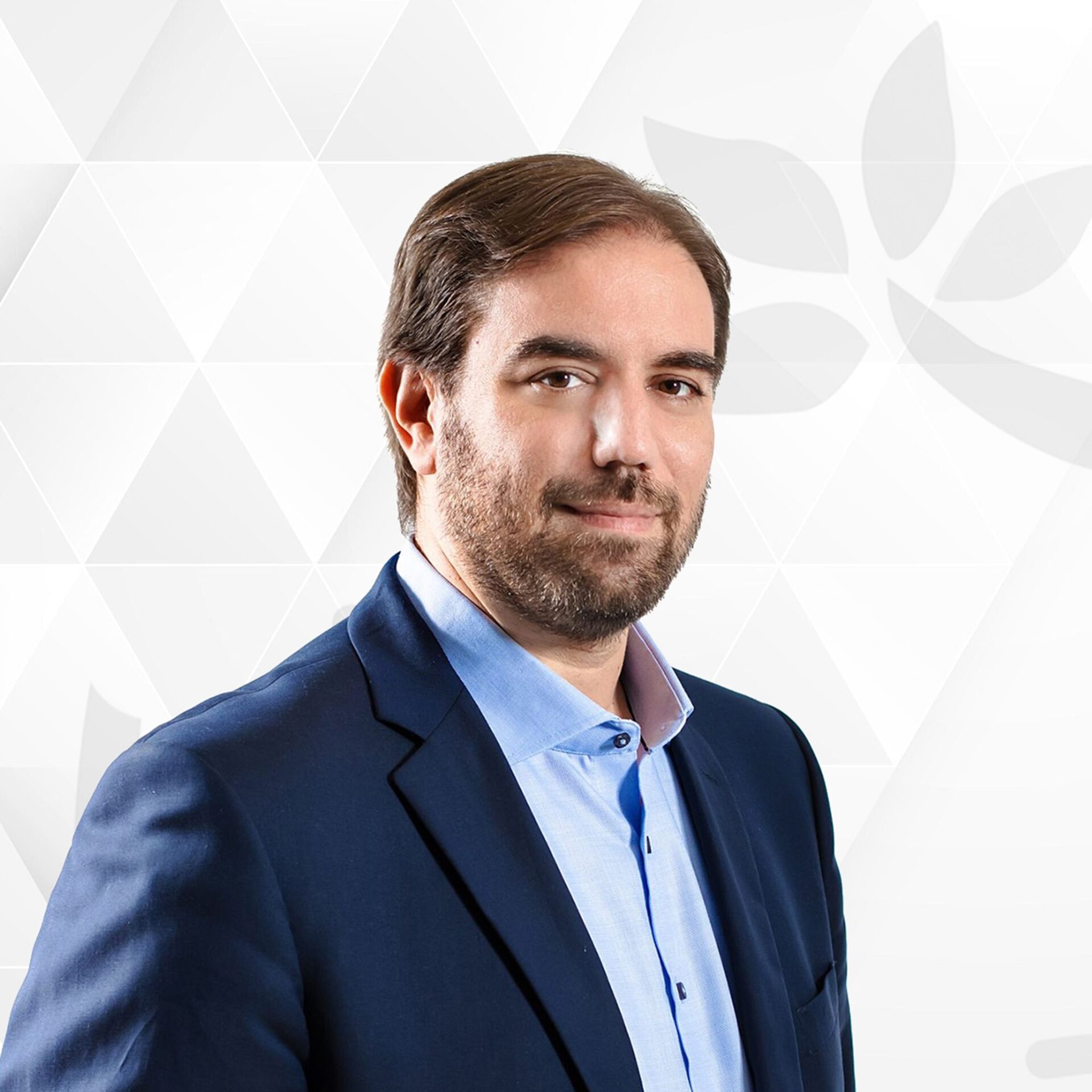 Εσωτερική εικόνα άρθρου