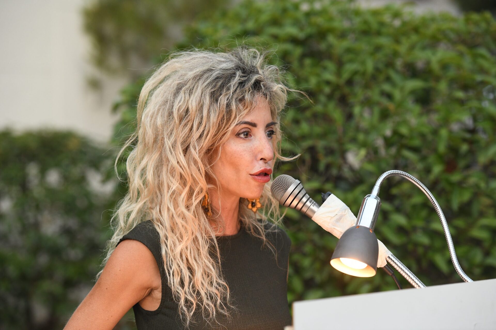 Εσωτερική εικόνα άρθρου