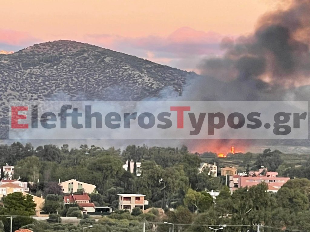 Μεγάλη φωτιά στον οικισμό δικαστικών υπαλλήλων στον Σχοινιά – Συναγερμός στην Πυροσβεστική