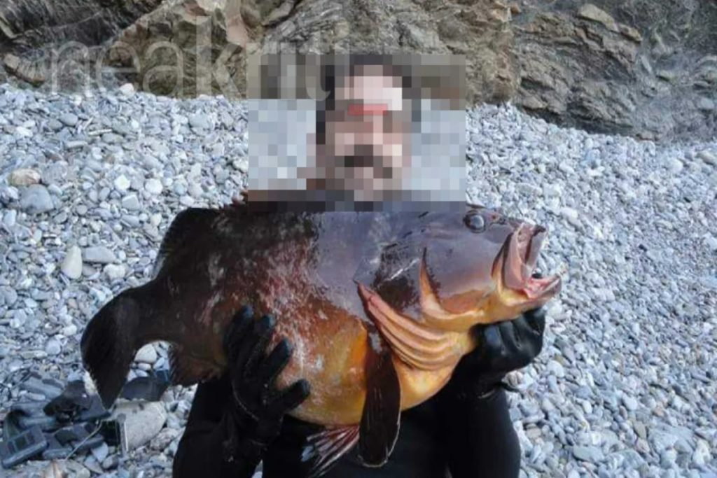 Κρήτη: Κορυφώνεται η αγωνία για τον ψαροτουφεκά που αγνοείται