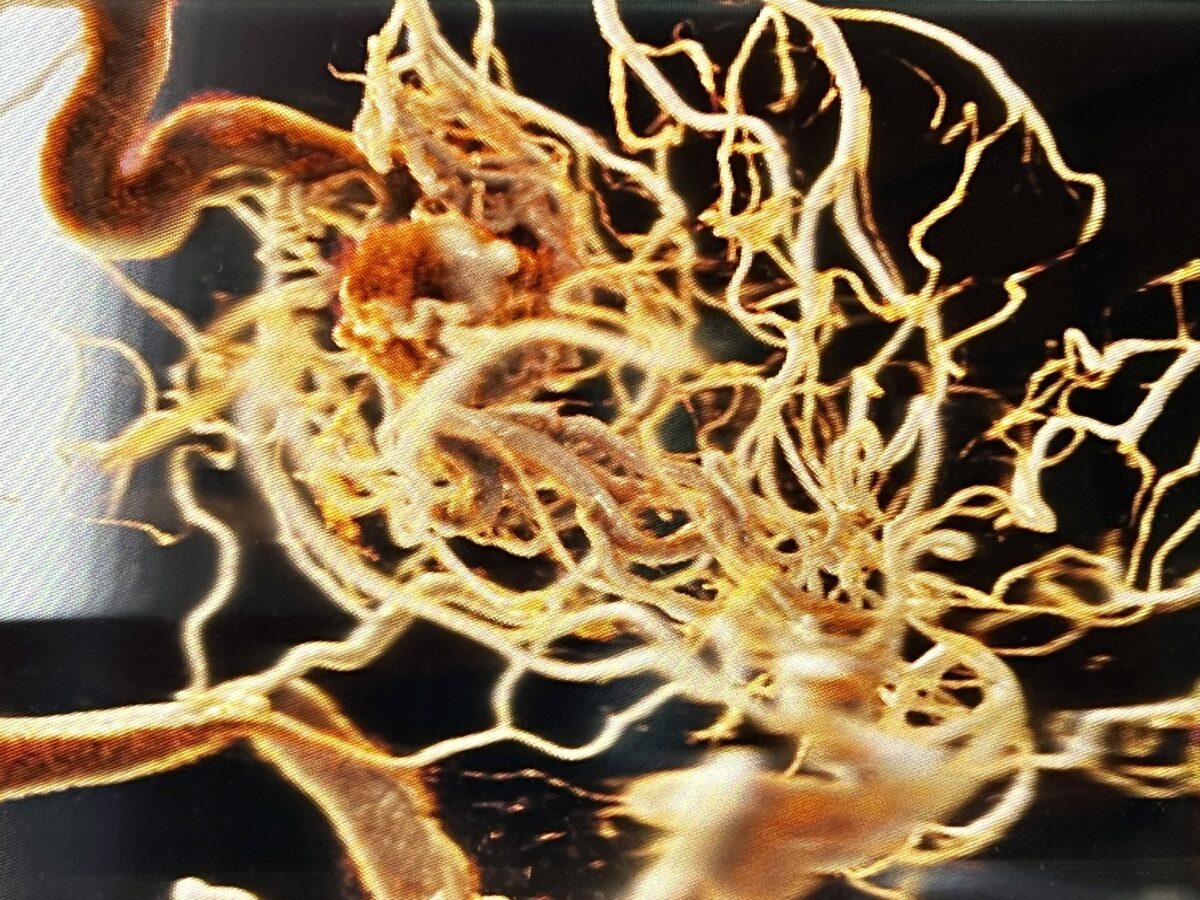 Τεχνητή Νοημοσύνη