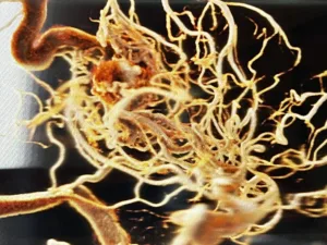 Τεχνητή Νοημοσύνη