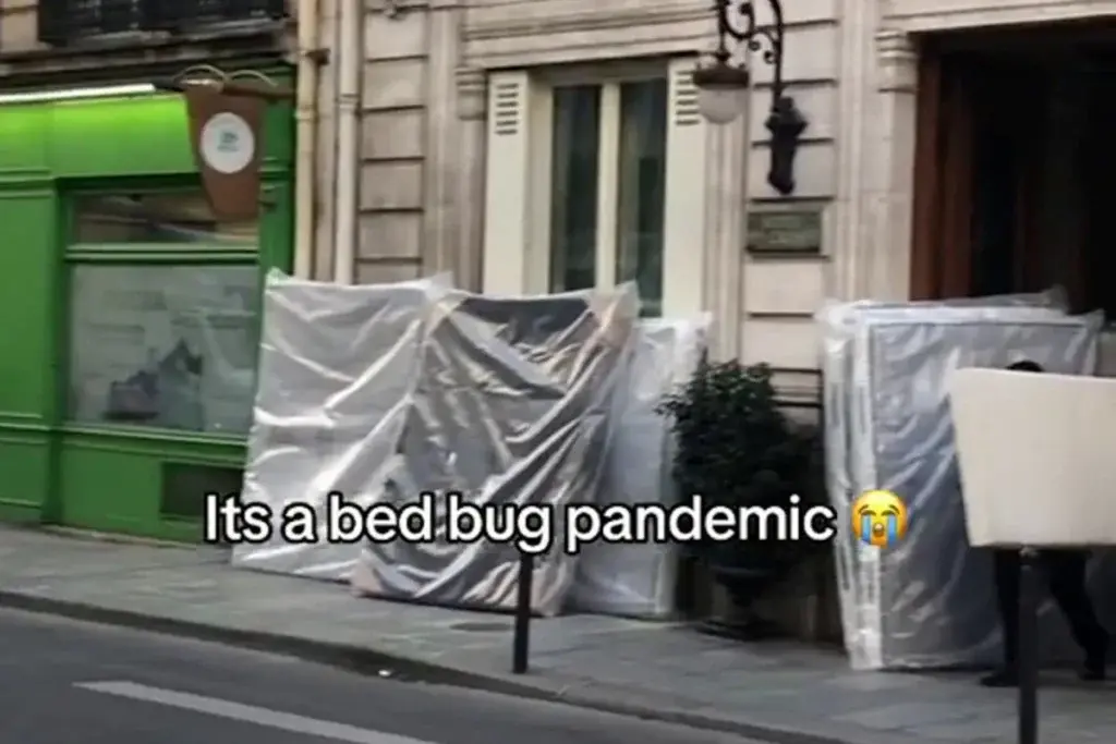 Γαλλία: Σε συναγερμό το Παρίσι από την επιδημία κοριών – Πετάνε τα στρώματα στους δρόμους [Βίν