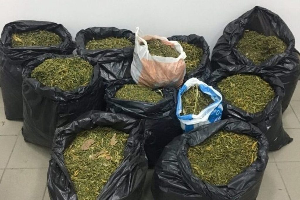 Αρκαδία: Εξαρθρώθηκε εγκληματική οργάνωση διακίνησης ναρκωτικών – Πώς πιάστηκε στην «τσιμπίδα»