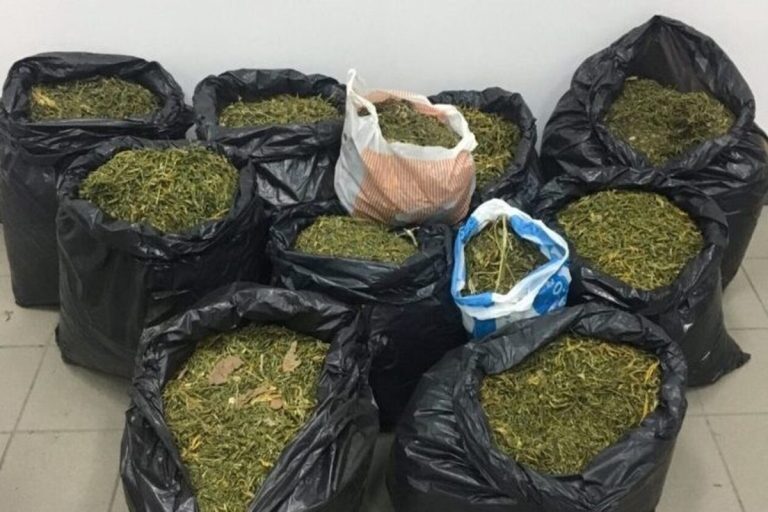 Αρκαδία: Εξαρθρώθηκε εγκληματική οργάνωση διακίνησης ναρκωτικών – Πώς πιάστηκε στην «τσιμπίδα» του νόμου