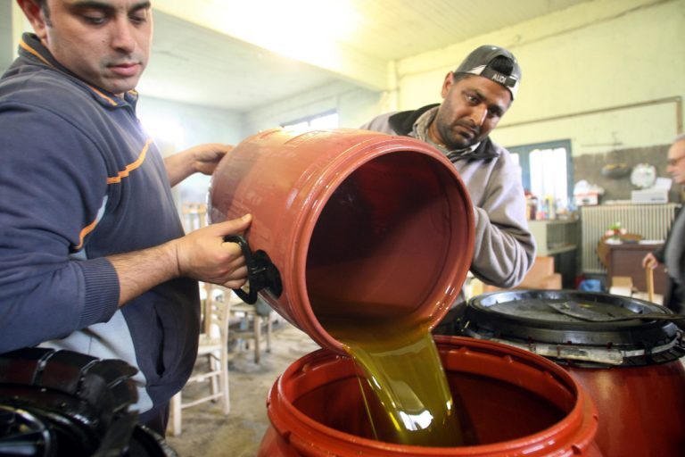 Κλοπή ελαιόλαδου στη Χαλκιδική: Πάνω από 300.000 ευρώ η αξία