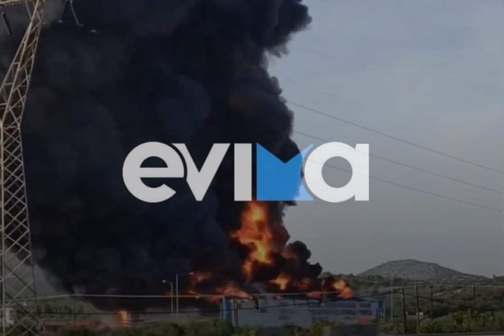 Φωτιά στην Εύβοια: Γίνονται συνεχείς εκρήξεις στο εργοστάσιο» – Η συγκλονιστική μαρτυρία για τ