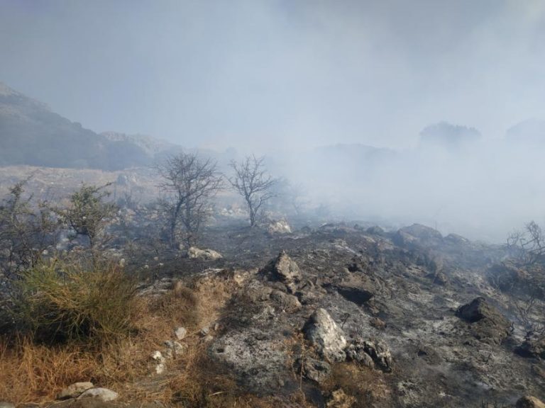 Ε.Ε: Στην Αλεξανδρούπολη σημειώθηκε η μεγαλύτερη πυρκαγιά στην Ευρώπη από τη δεκαετία του 1980