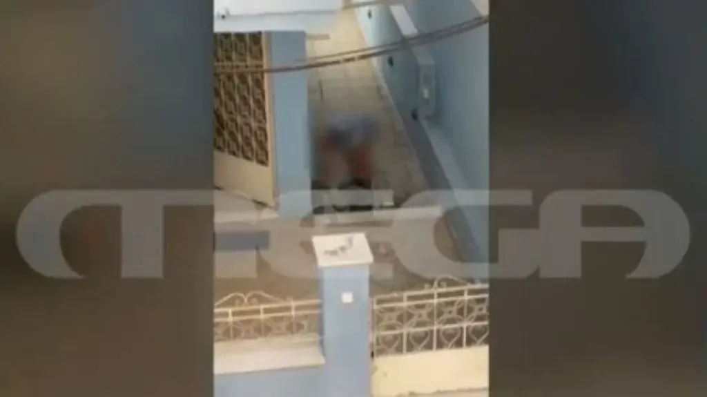 Σάλος στη Νέα Φιλαδέλφεια: Έριξε νερό κι έπνιξε γατάκια που είχαν κρυφτεί σε σωλήνα