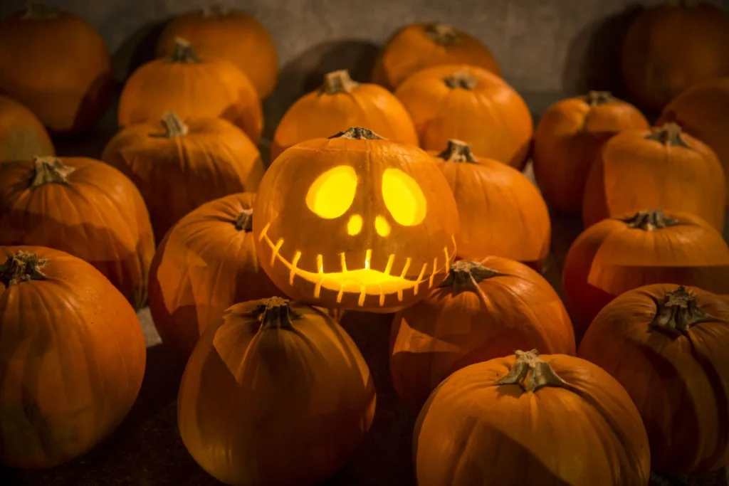 Halloween 2023: Πότε γιορτάζεται – «Κραυγή αγωνίας» από τους παραγωγούς σοκολάτας