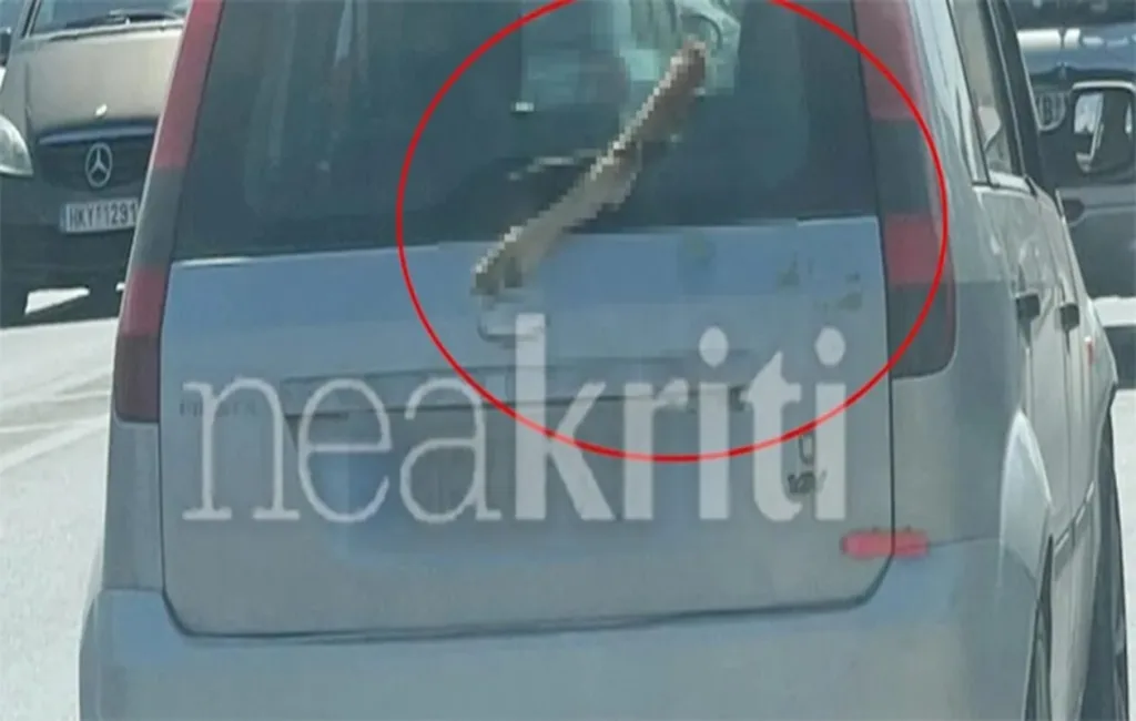 Μακάβριο θέαμα στο Ηράκλειο: Κυκλοφορούσε με ένα πόδι κατσίκας στο παρμπρίζ του αυτοκινήτου του