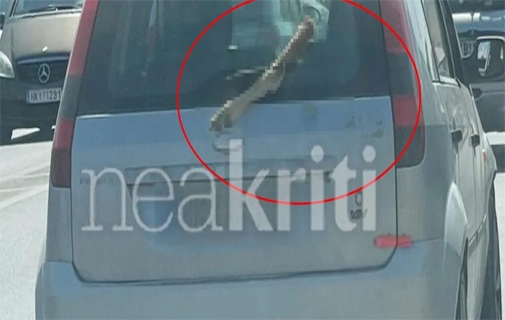 Μακάβριο θέαμα στο Ηράκλειο: Κυκλοφορούσε με ένα πόδι κατσίκας στο παρμπρίζ του αυτοκινήτου του