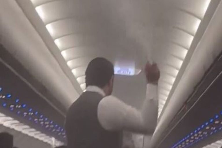 Μεξικό: Ο κακός χαμός σε πτήση από την εισβολή… σμήνους κουνουπιών [βίντεο]