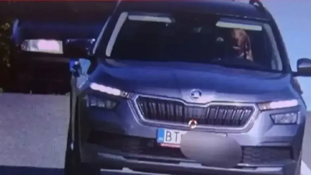 Απίστευτο: Σκύλος οδηγούσε αυτοκίνητο στην Σλοβακία – Πρόστιμο στον ιδιοκτήτη του