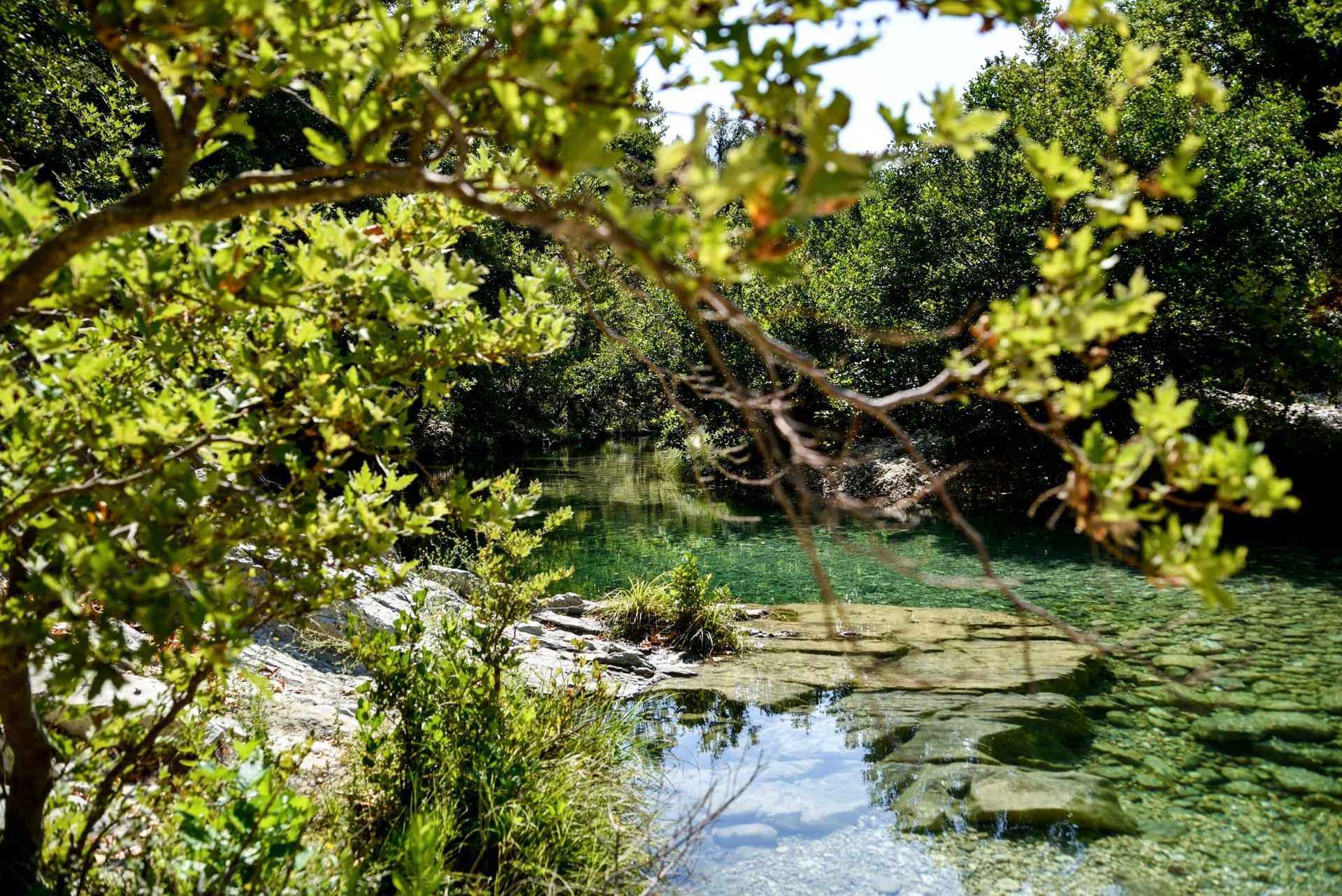 Αιωνόβια πλατάνια κι αναρριχώμενα φυτά αγκαλιάζουν τους πανύψηλους βράχους.