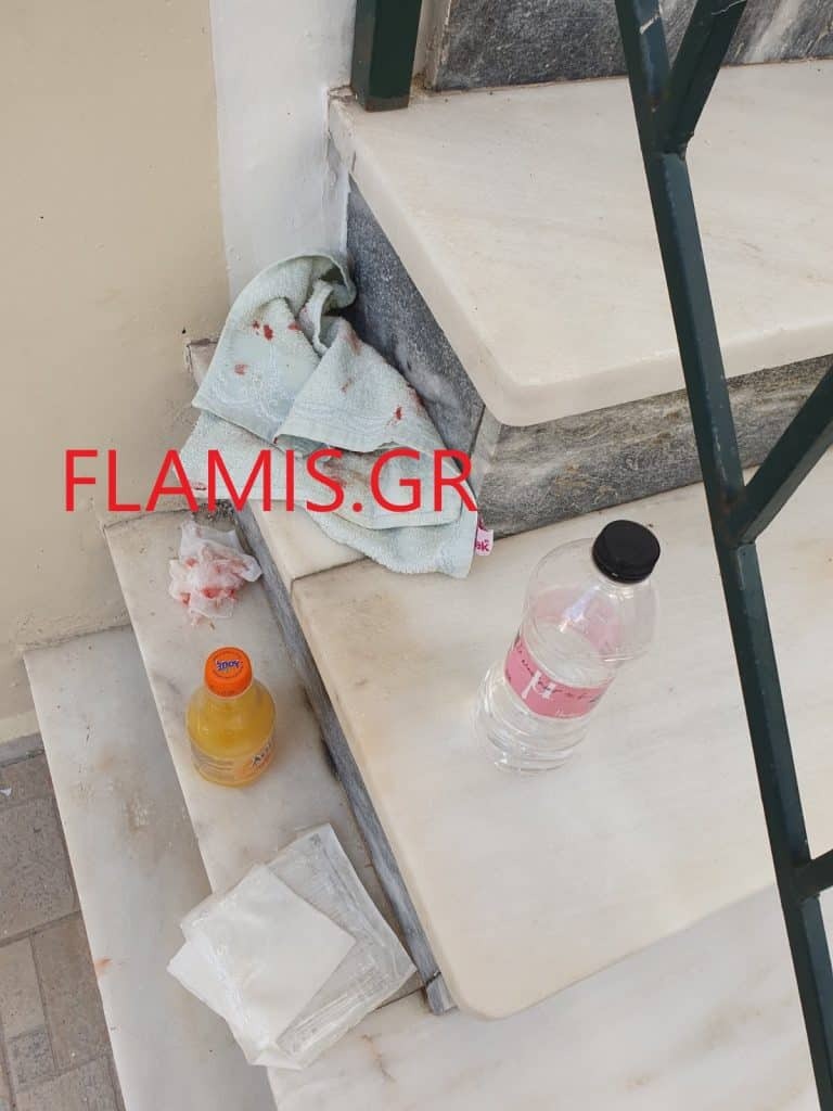 Εσωτερική εικόνα άρθρου