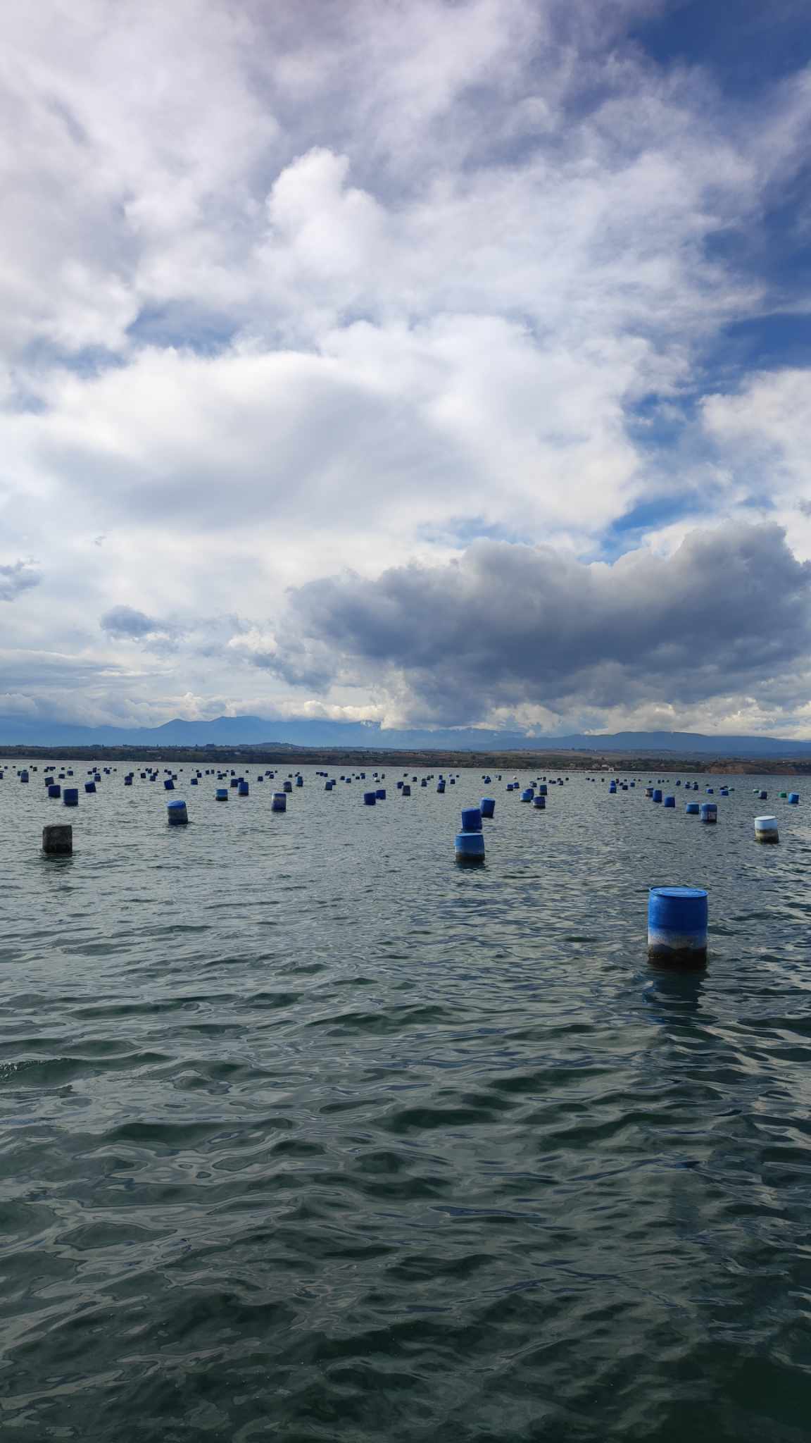 Μύδια Πιερίας: Ο ελληνικός θησαυρός που έγινε success story