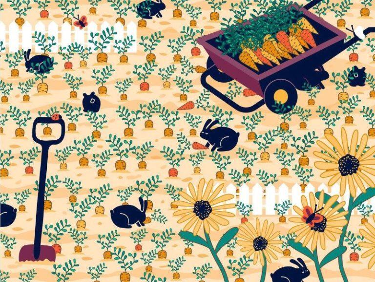 οφθαλμαπάτη