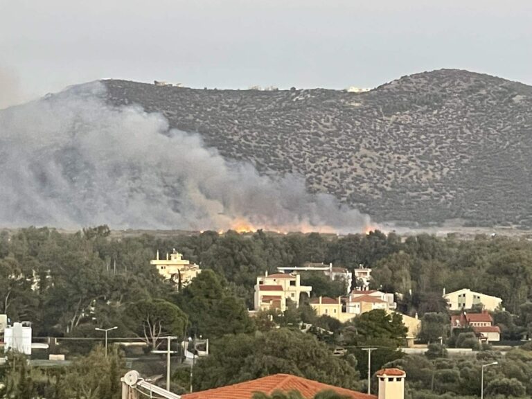 Πυρκαγιά στη Δεσκάτη Γρεβενών: Σύλληψη 88χρονου για εμπρησμό από αμέλεια