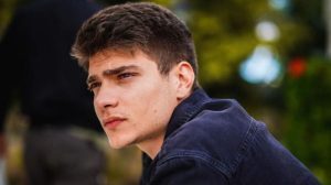 Γη της Ελιάς