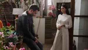 Γη της Ελιάς