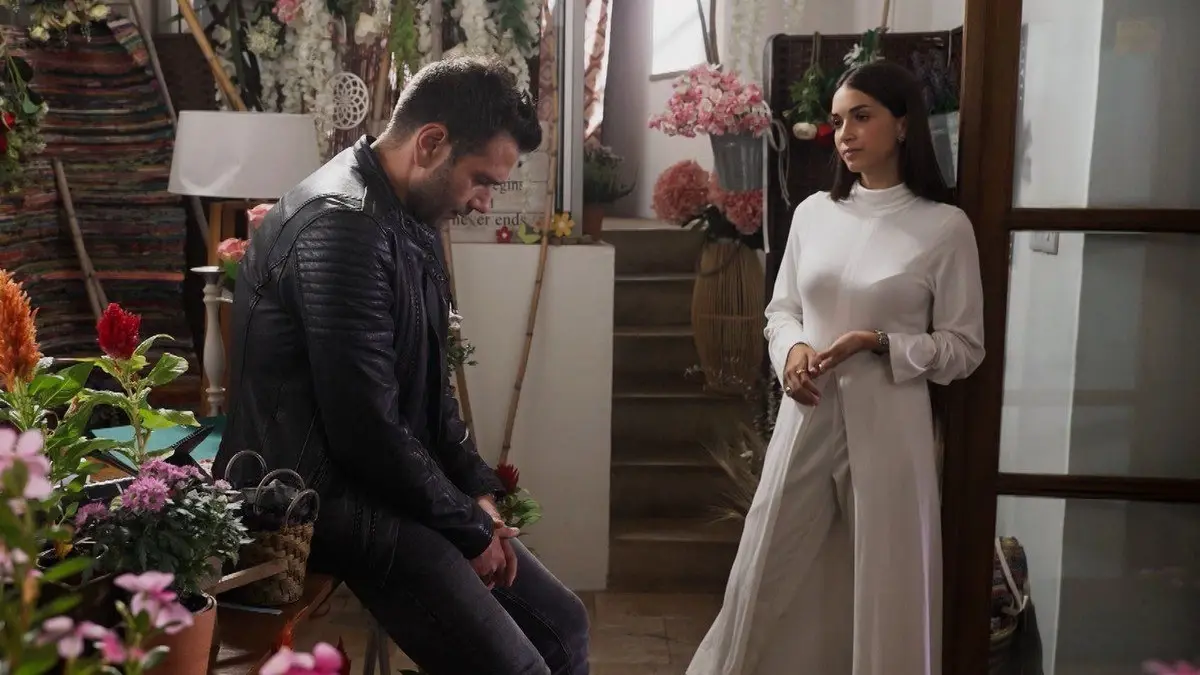 Γη της Ελιάς