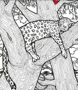 οφθαλμαπάτη