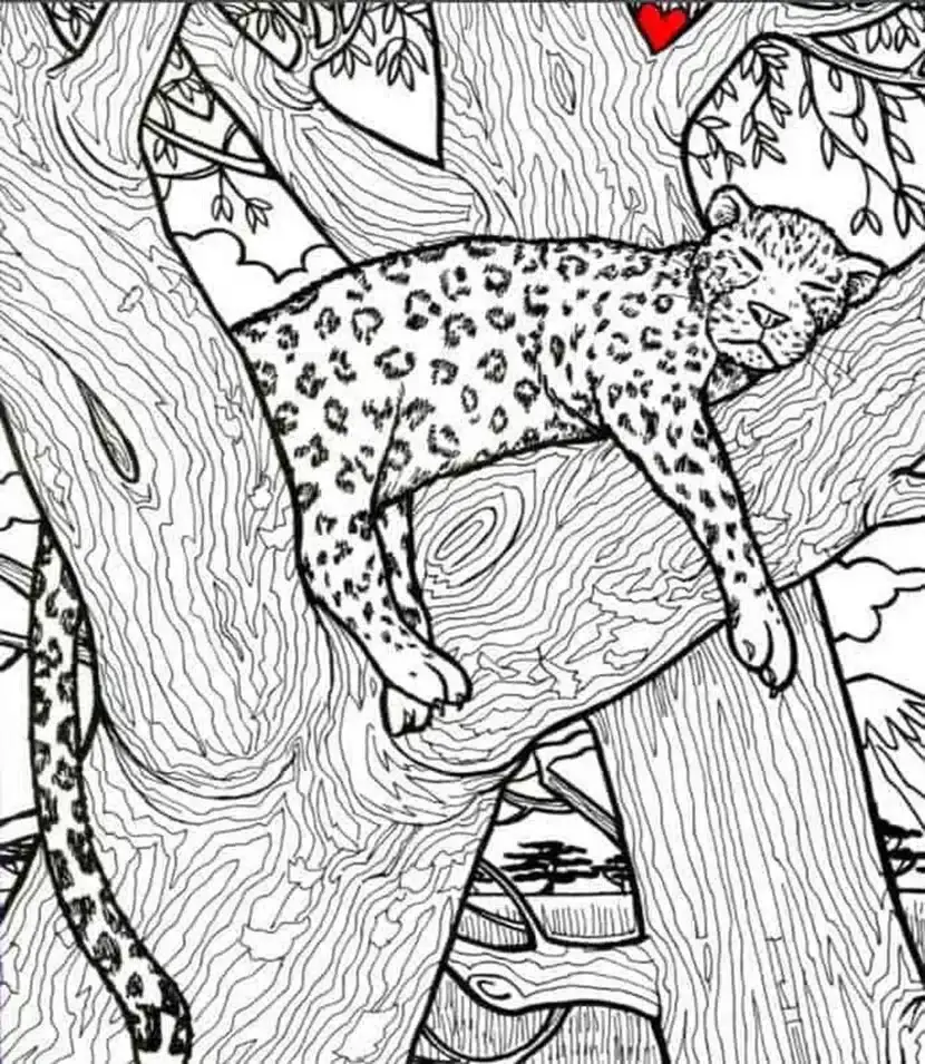 οφθαλμαπάτη