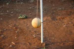 Τραγωδία για 13χρονο που έπαιζε tetherball – Το σχοινί τυλίχθηκε γύρω από τον λαιμό του