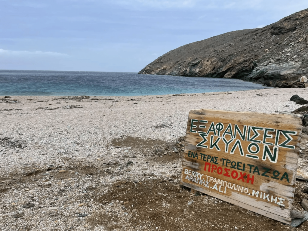 Άνδρος: Το μυστήριο με τις εξαφανίσεις σκύλων σε γνωστή παραλία