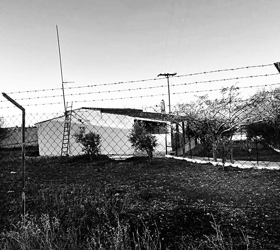 «Ιδιοκτήτες σκύλων μου ζητούν να τους μάθω να είναι επιθετικοί» – Τι λέει στον ΕΤ εκπαιδευτής για τον φόνο της 50χρονης από τσοπανόσκυλα