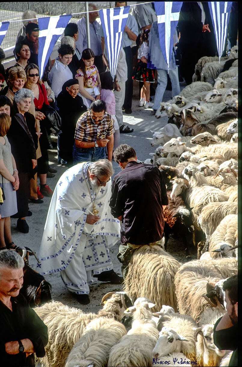 Εσωτερική εικόνα άρθρου
